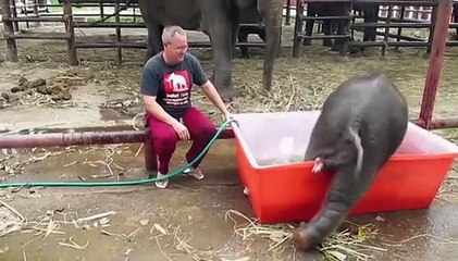 Quand je sort de boite avec mes potes