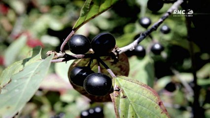 Rencontres suspectes