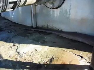 Great Snake Video - Texas Hill Country