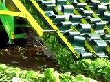 Marul Hasat Makinesi  -  Lettuce Harvest Machine