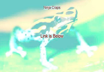 Ninja Craps Download PDF (Legit Download 2015)