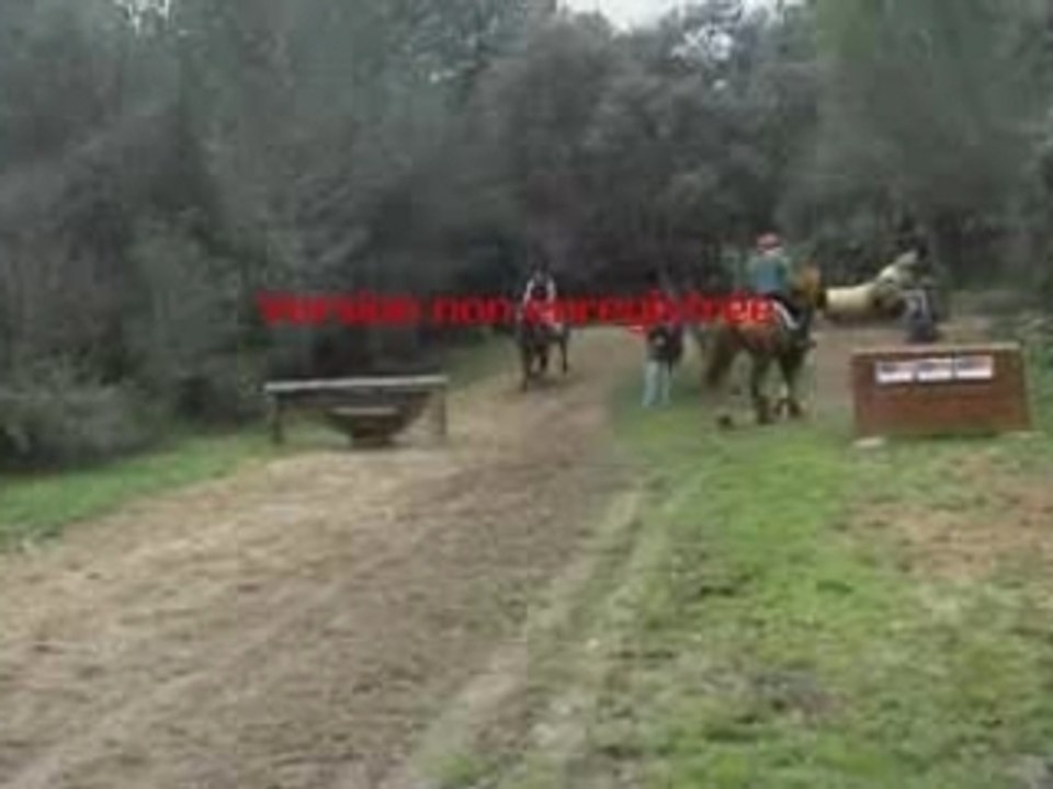 cross cornillon directionnel