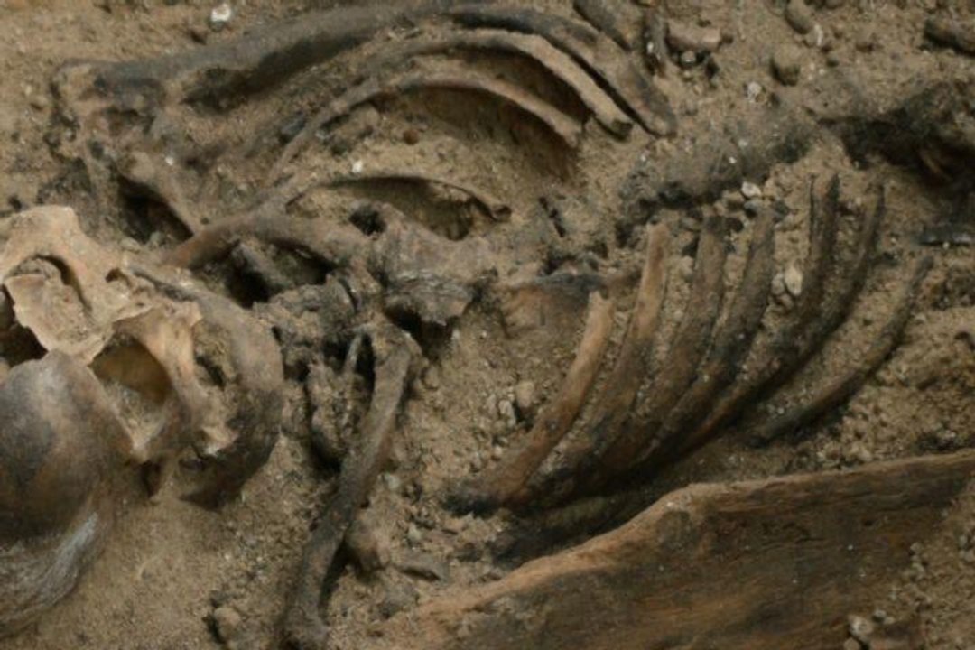 Hallan posibles fragmentos de restos de Cervantes