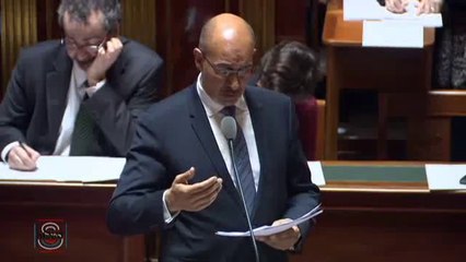 Débats en séance au Sénat préalables au Conseil européen des 19 et 20 mars 2015