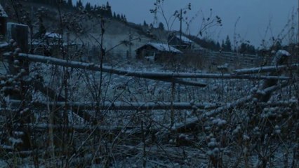 Les forêts sombres (extrait)