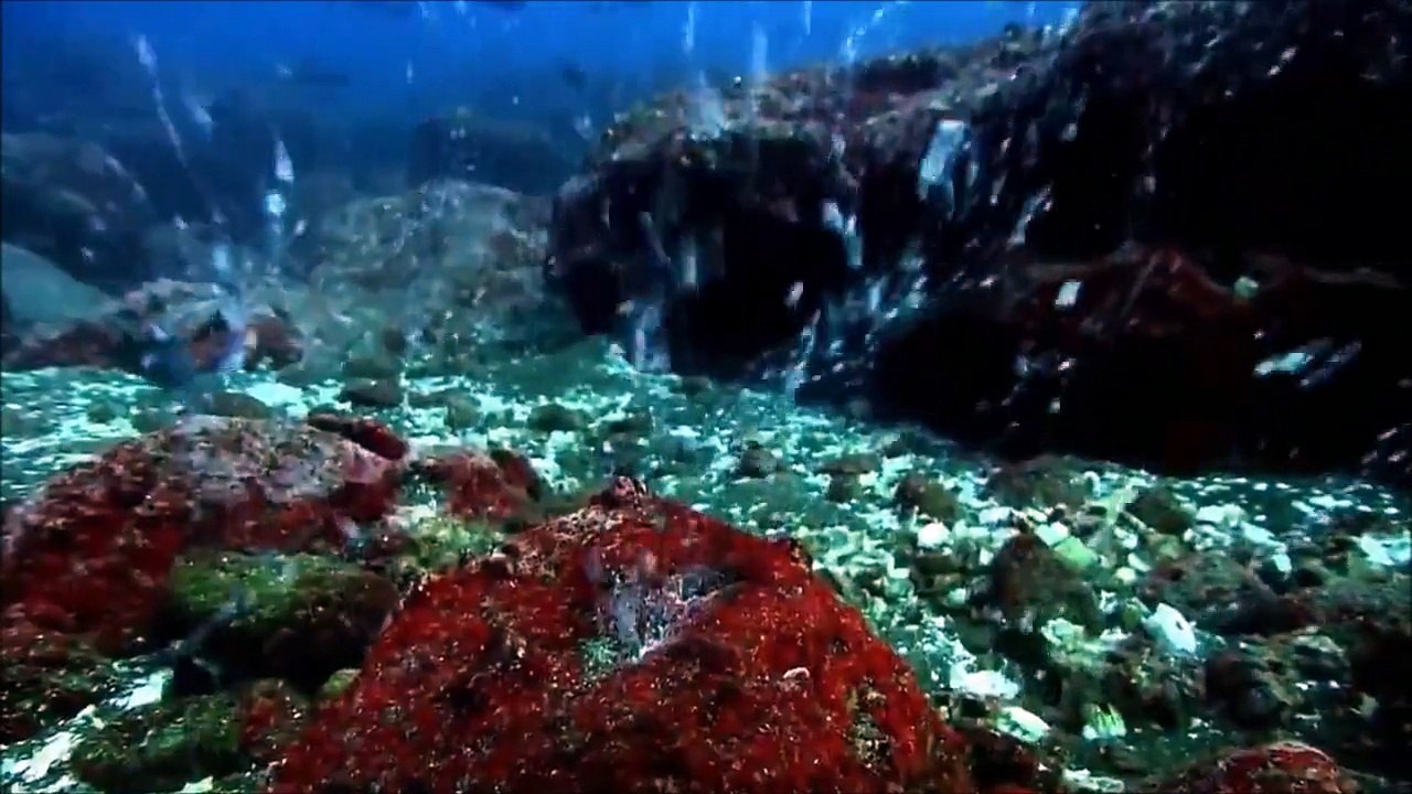 Galapagos