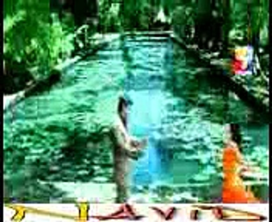 AAI GE HAR PAL