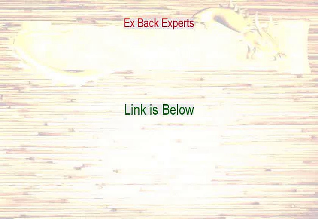 Ex Back Experts Free PDF [ex back experts pdf]