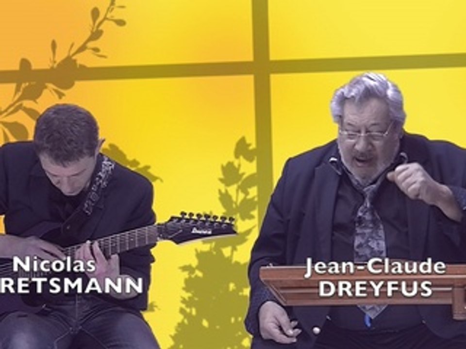 L'inondation d'Emile Zola par Jean-Claude Dreyfus et Nicolas Ehretsmann