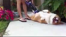 Ways to use vacuum