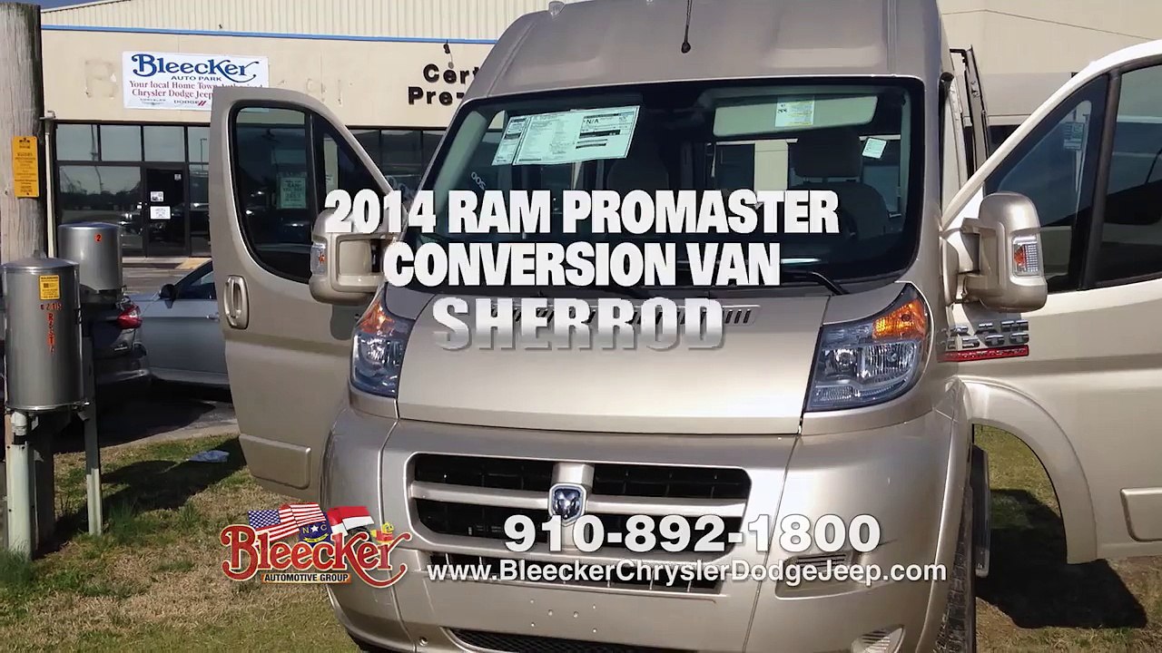 RAM Promaster Conversion Van - Raleigh, Fayetteville, Ft. Bragg, Clinton, Lillington, Dunn, NC