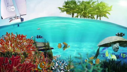 Mozambique - In the Realm of the Manta Rays | Global 3000