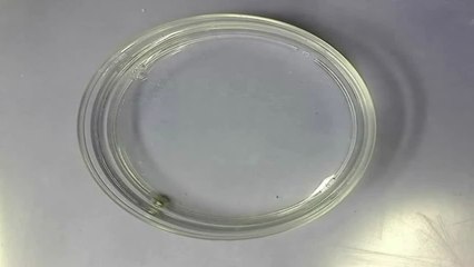 Forscher entwickeln Motor, der ohne externe Energie läuft und Gestalt wechselt