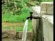 If monkey can safe water then why we can not do that