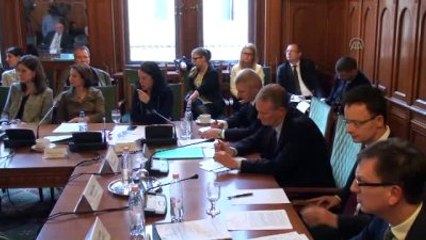 Macaristan'ın Irak'a Asker Gönderme Kararı