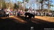 TRIPLE JARIPEO DE RANCHO 3 DE LOS MEJORES TOROS SALVAJES SON MONTADOS CON ESPUELA LIBRE EN LAS FIESTAS CHARRAS DE LA EXPO FERIA OAXACA MEXICO MARZO 2015