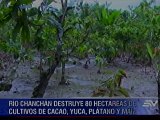 Río desbordado en Chimborazo destruye 80 hectáreas de cultivo