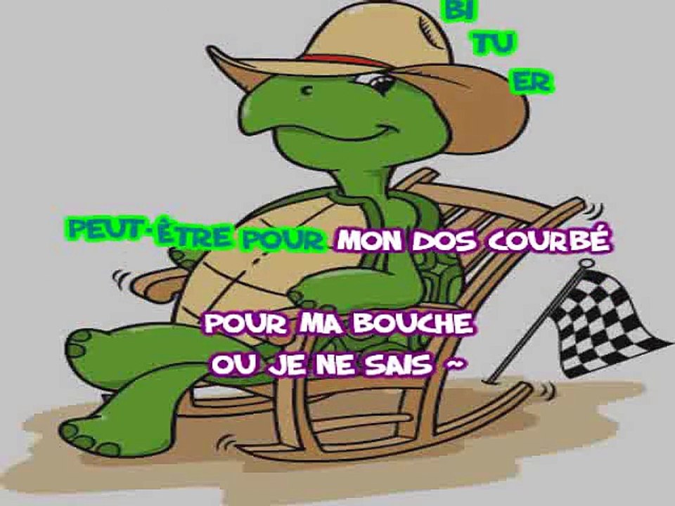 KARAOKE CHRISTOPHE WILLEM - La tortue