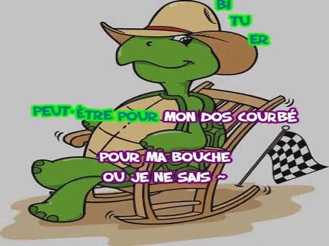 KARAOKE CHRISTOPHE WILLEM - La tortue