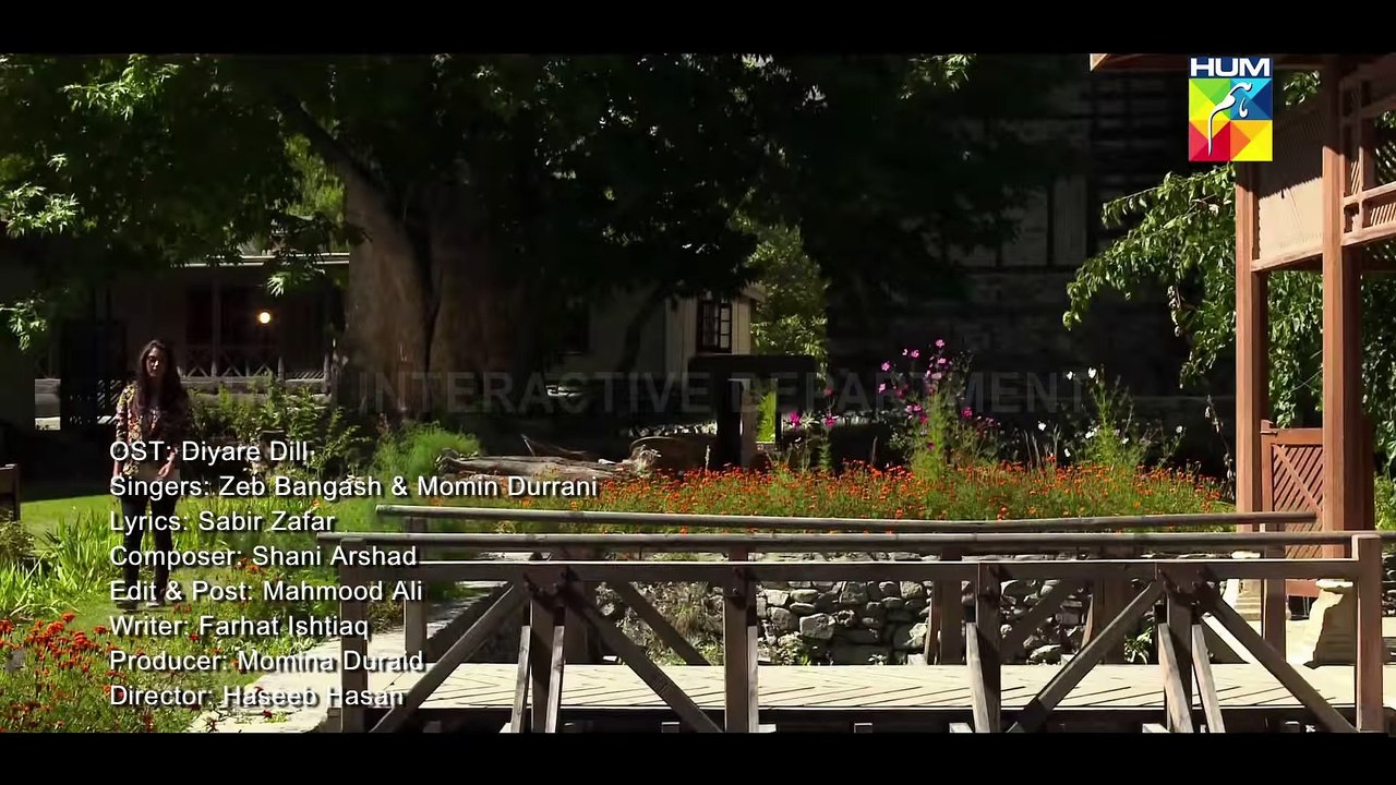 Diyar E Dil - OST - HUM TV Drama