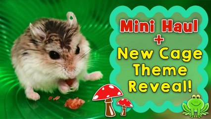 Mini Haul + New Cage Theme Reveal!