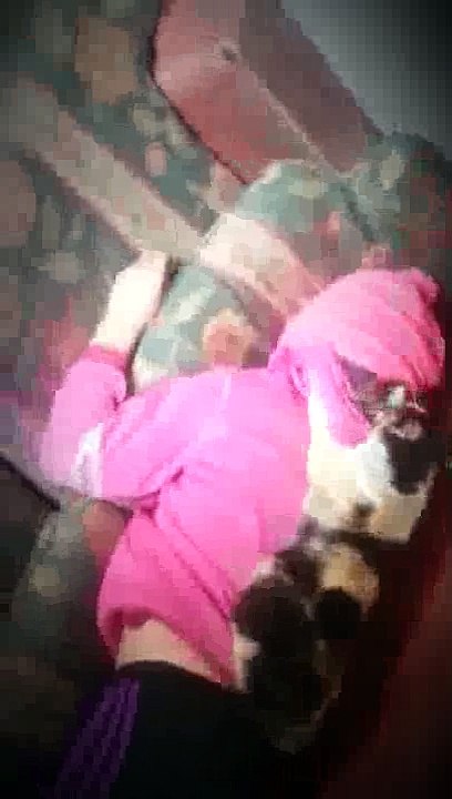 Masaje Gatuno - Cat Massage