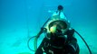 Shareable Science - Nokia Mission 31  Cracking an egg underwater