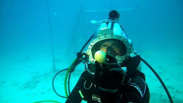 Shareable Science - Nokia Mission 31 Cracking an egg underwater