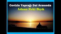 Cevizin Yağrağı Dal Arasında-Adnan Zeki Bıyık