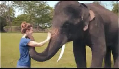 Ce que fait cet Éléphant est vraiment Bluffant