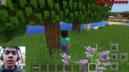 clueless gamer minecraft part 2:using a stick to kill pigs