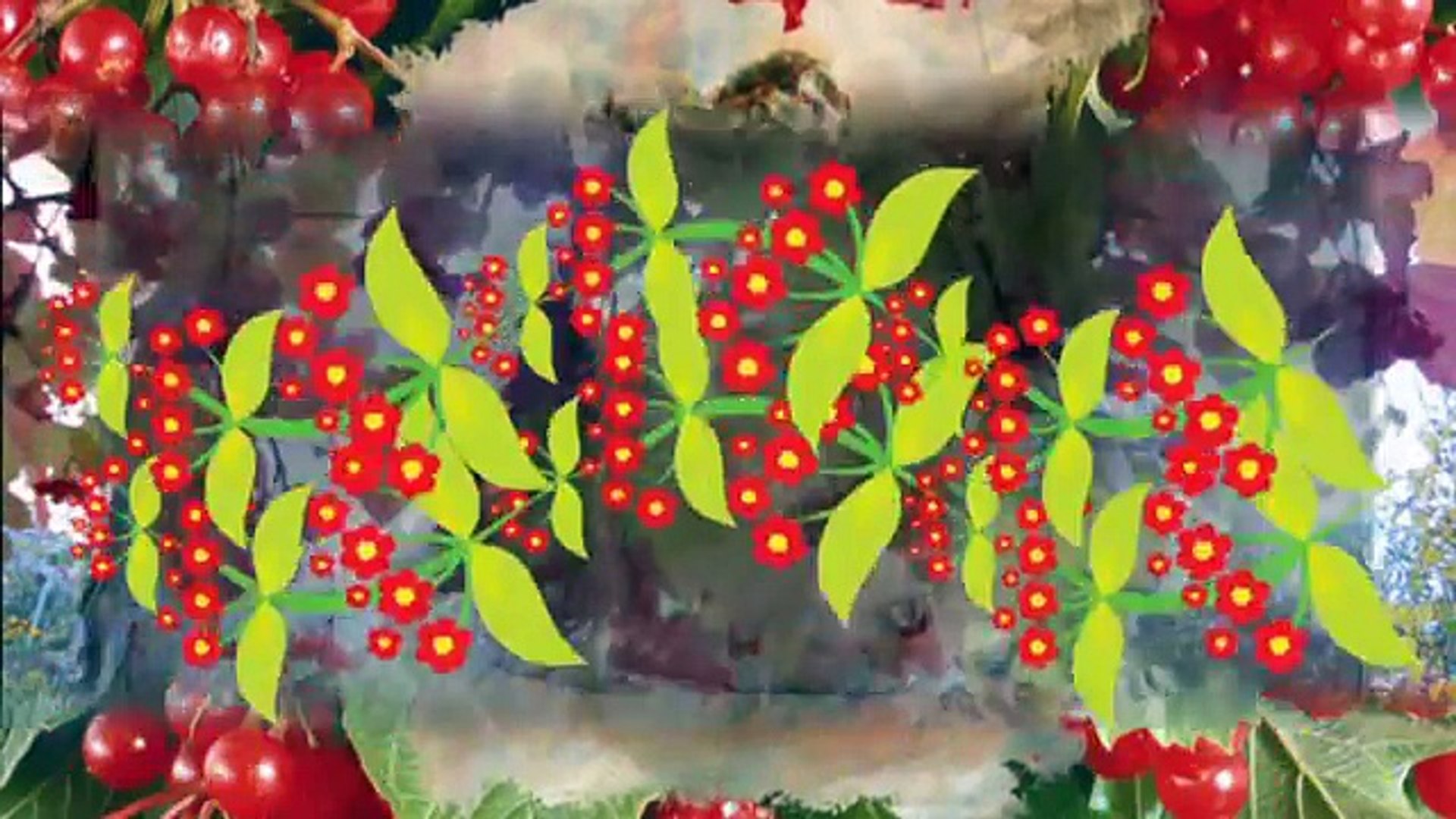 Моя пампушечка