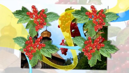 Мандри Коханка