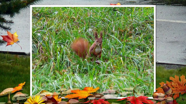 Українська народна пісня Вийди Грицю на вулицю