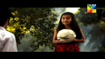 Diyar e Dil Episode 1 on Hum Tv 17th March 2015 part1