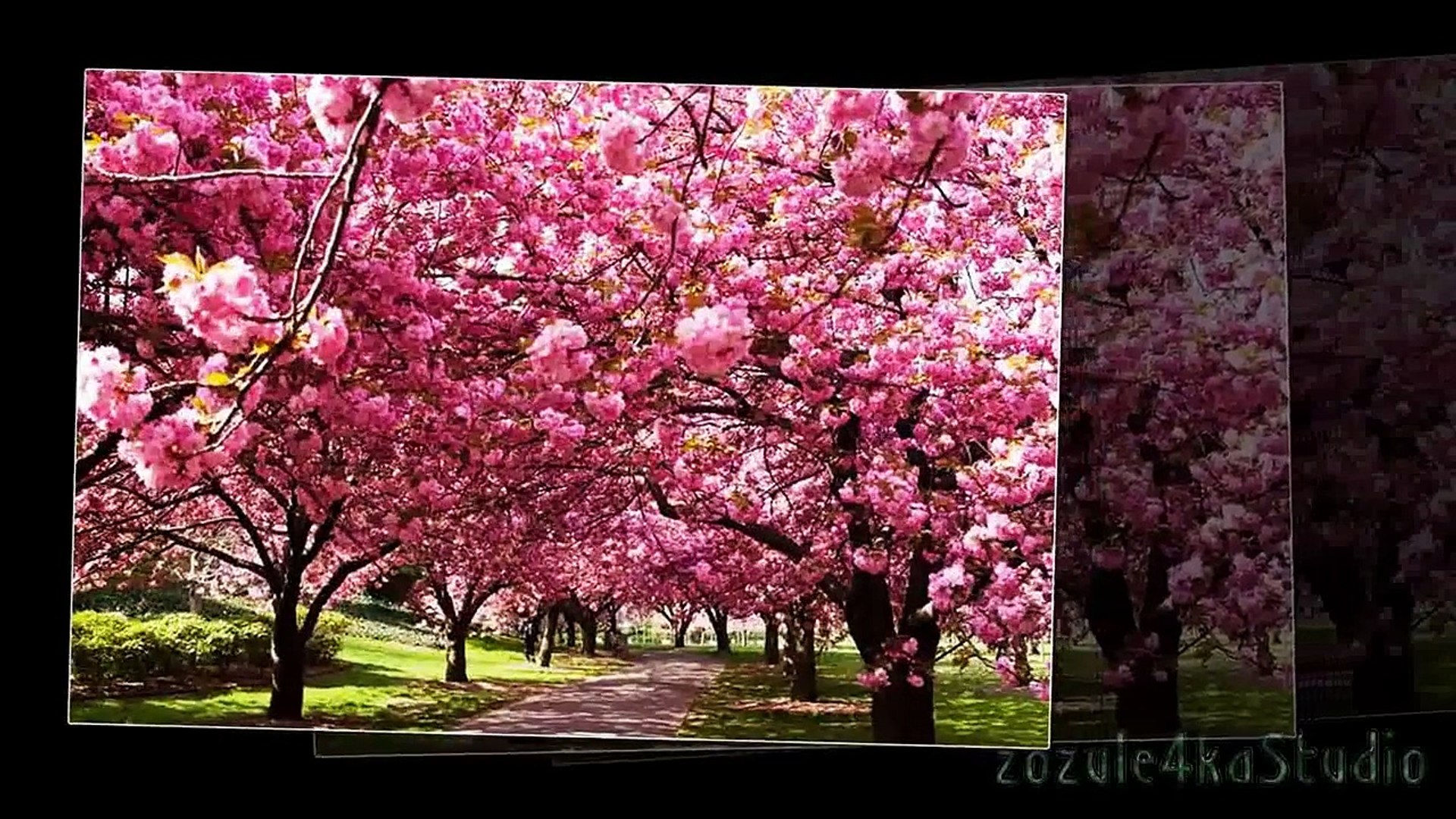 ⁣ТІК - Люби ти Україну