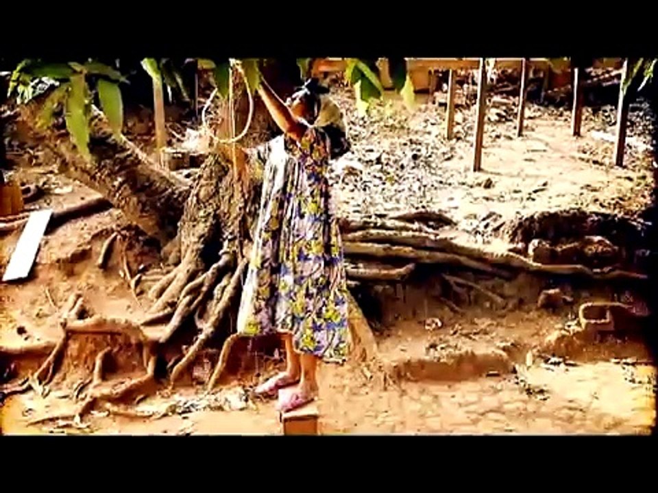 Lady Ponce - Cheri Coco