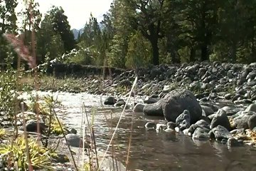 Arroyo de deshielo - Parque nacional Lanin