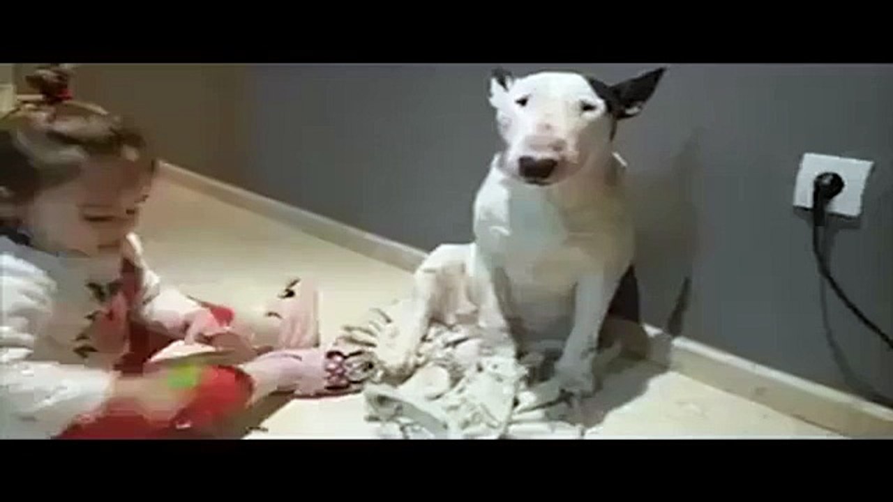 Girl playing doctor with dog