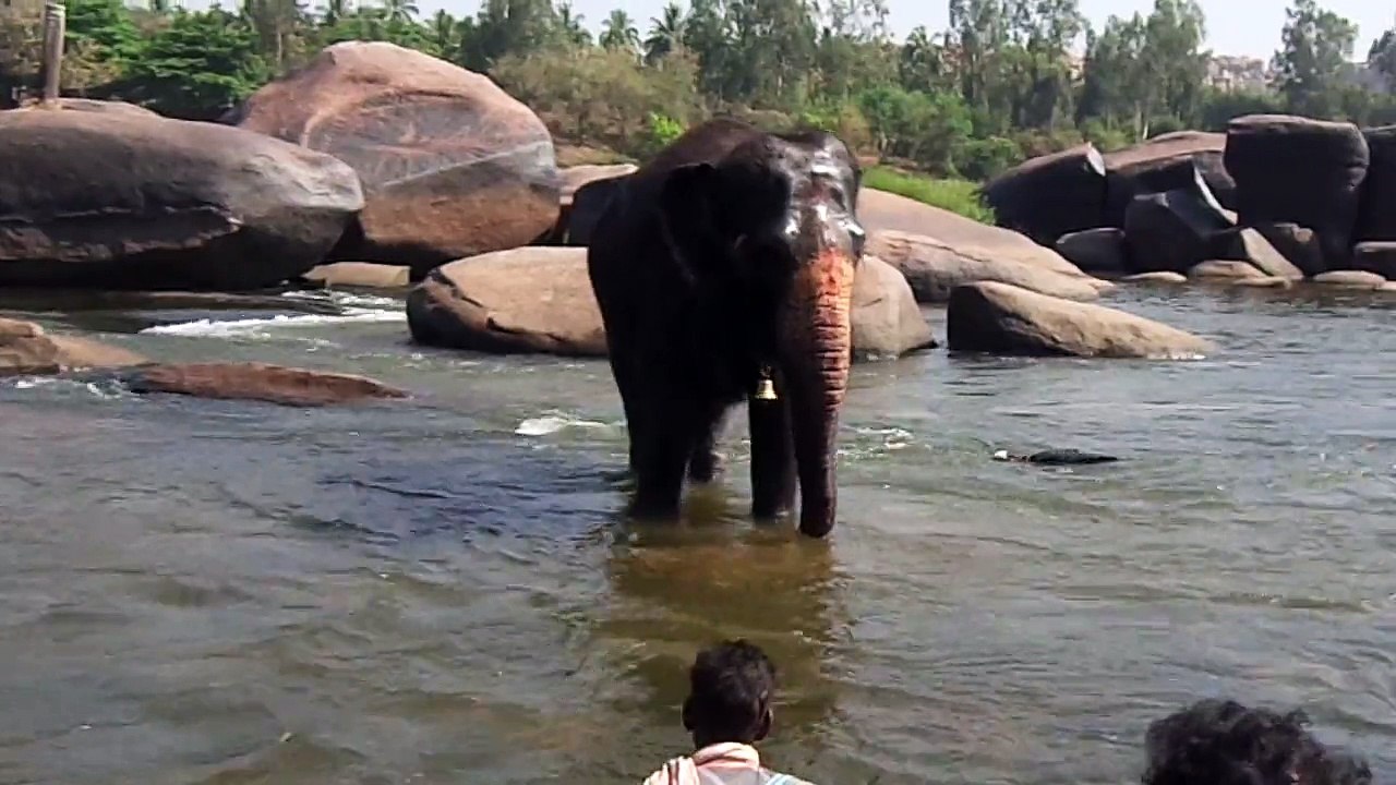 elephant hampi