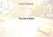 Auction Prospecting Download Free (Free of Risk Download 2015)