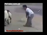 Funny Moments of Sheep Chasing Boy