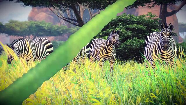Cabela's African Adventures (PS4) - Trailer de lancement