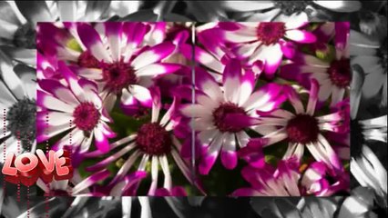 Canım Annem - Hüseyin Ay [2015]