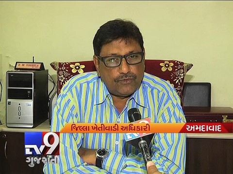 Unseasonal rains hit crops, Government announces compensation only for 50% damage - Tv9 Gujarati