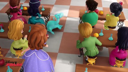 Sofia The First - Scrambled Pets - Official Disney Junior UK HD