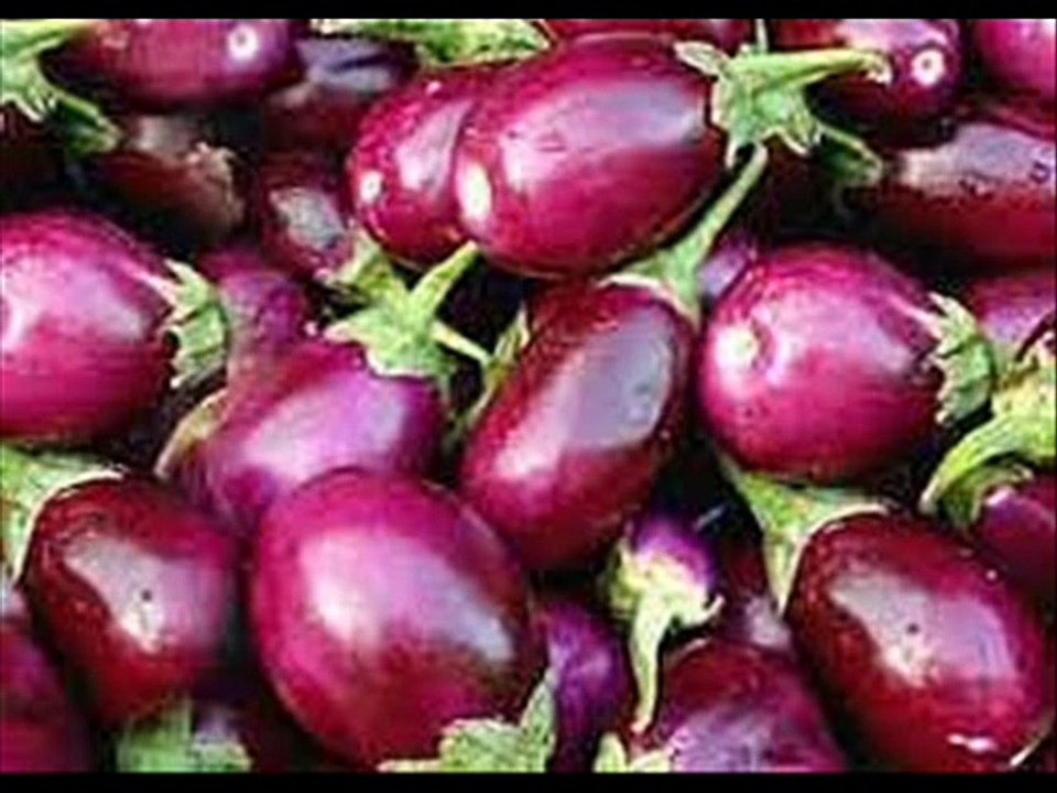 Brinjal / Baingan k liye Fertilizers by Dr.Ashraf Sahibzada