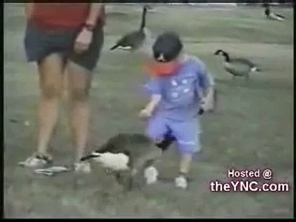 World s funniest videos