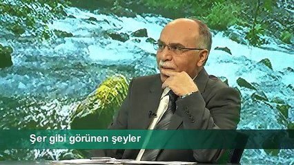 ŞER GİBİ GÖRÜNEN ŞEYLER