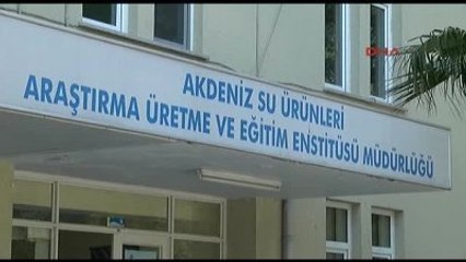 2014'ün Şaşırtıcı 20 Hayvan Türü Keşfinde Antalya'dan Bir Balık da Var
